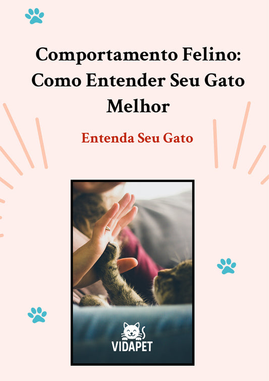 Comportamento Felino: Como Entender Seu Gato Melhor